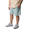 imageColumbia Mens Terminal Roamer Stretch ShortCrushed Blue