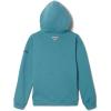 imageColumbia Kids PFG Fish Flag HoodieTranquil TealMint Cay Trout Flies