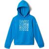 imageColumbia Boys PFG Elements HoodiePoolPfg Elements