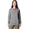 imageColumbia Womens Trek Graphic Treatment HoodieCity Grey HeatherCasual Script