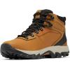 imageColumbia Mens Newton Ridge Plus Ii Waterproof Hiking ShoeElk  Black
