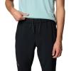 imageColumbia Mens Endless Trail Training Pant IiBlack