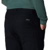 imageColumbia Mens Flex ROC Ii Lined PantBlack