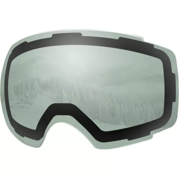 Vlt 22% Polarized Green