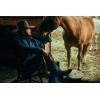 imageFrye Mens Hauser Logo Stitch Western BootBlackBlack