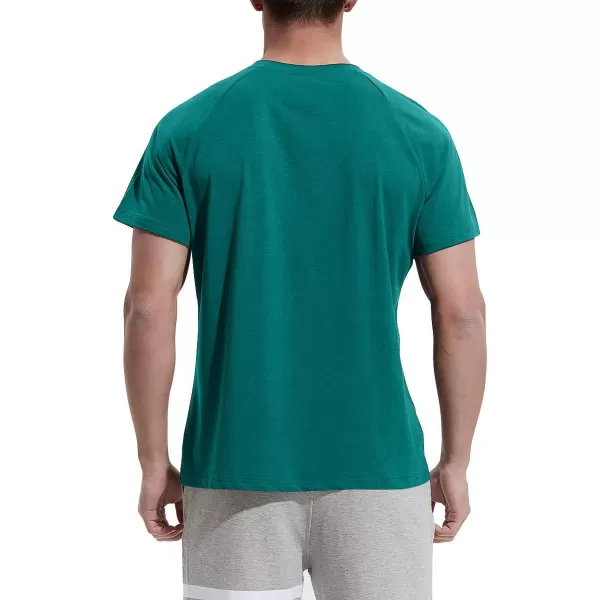 NITAGUT Men's Summer Casual T-Shirts Front Placket Raglan Short Sleeve Henley Shirts with Pocket